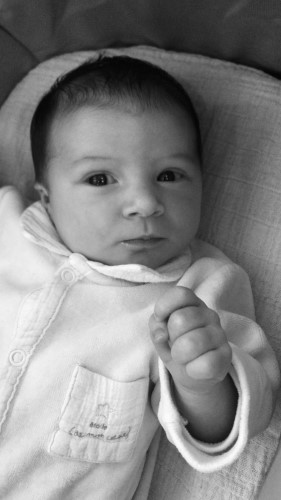 Norah Pouneau Norah Pouneau